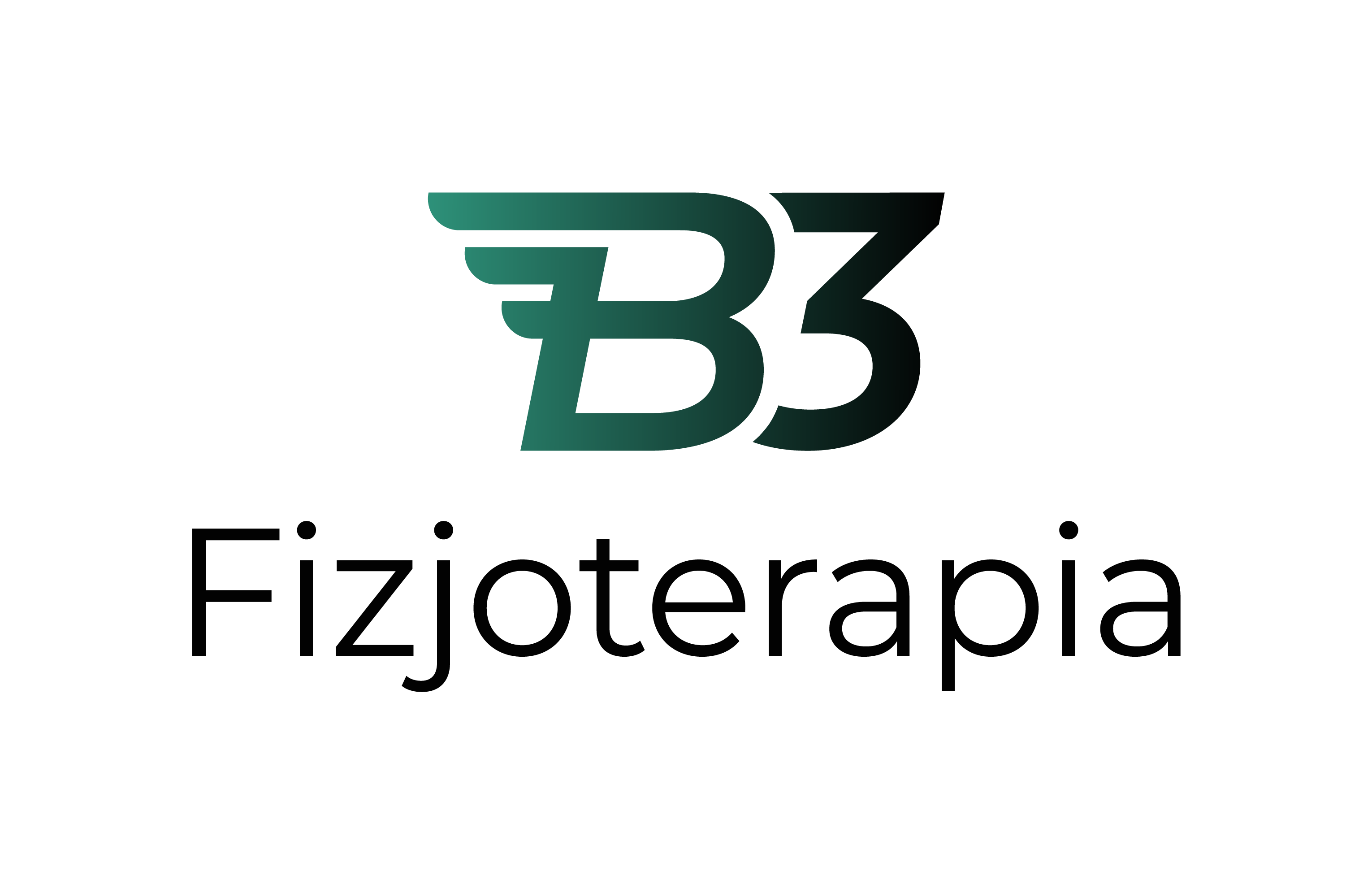 Fizjoterapia w B3 Fizjoterapia